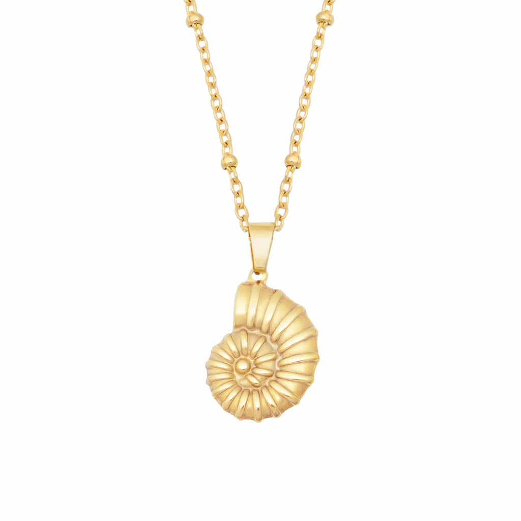 Ursula Shell Necklace